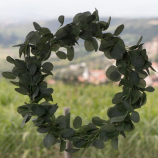 Eukalyptus Krans