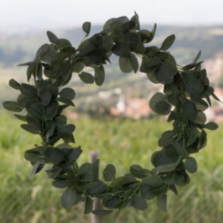 Eukalyptus Krans