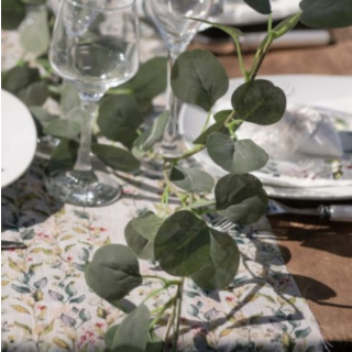 Girlang Eucalyptus