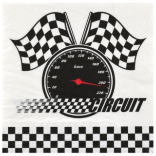 Racing Circuit Servetter