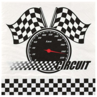 Racing Circuit Servetter