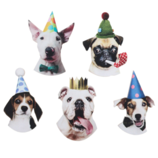 Party Dogs Bordsdekorationer Flerfärgade