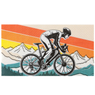 Mountainbike Servetter