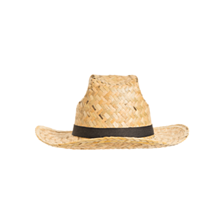 Texas Stråhatt
