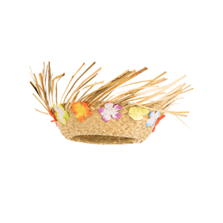Hawaiiblommor Stråhatt