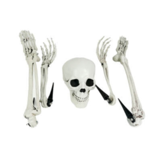 Skelett Dekorationsset