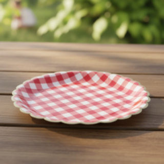 Rutig Picknick Pappers­tallrikar Röd/Vit