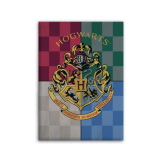 Harry Potter® Fleecefilt