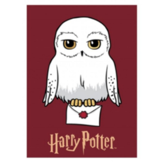 Harry Potter® Hedwig Fleecefilt
