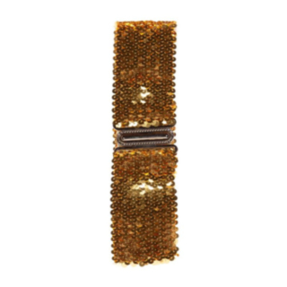 Paljettbälte Guld
