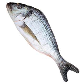 Konstgjord Fisk