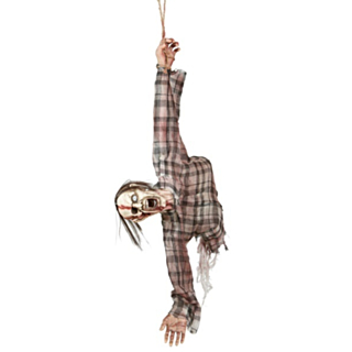 Zombie Torso