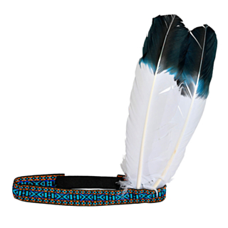Nativ American Pannband