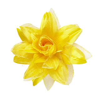 Tropisk Hårblomma Gul