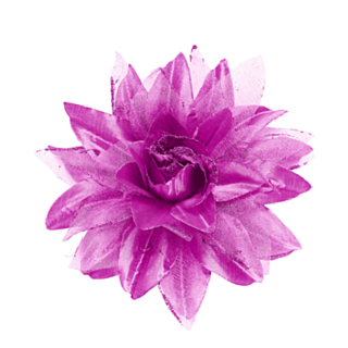 Tropisk Hårblomma Rosa/Ljusrosa