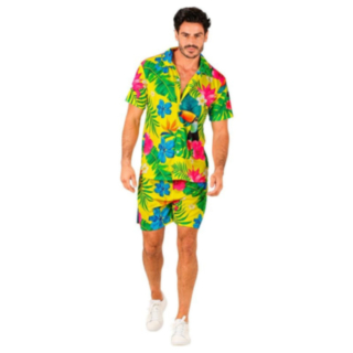 Tropisk Sommar Hawaiiset