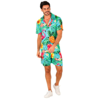 Tropisk Flamingo Hawaiiset