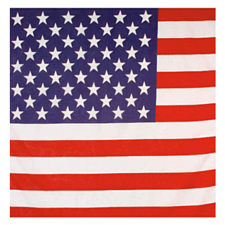 USA Bandana