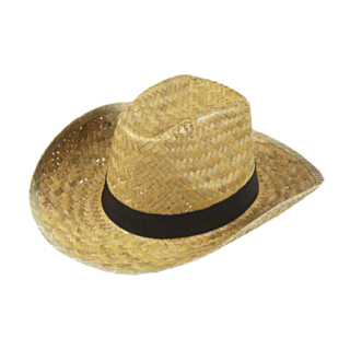 Texas-hatt