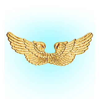 Änglavingar Guld