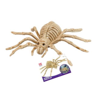 Spindelskelett