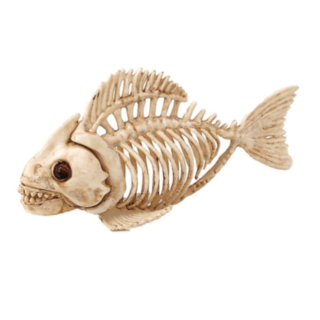 Fiskskelett