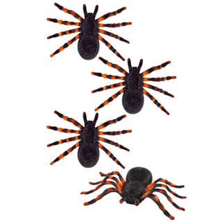 Tarantella Spindlar Svart/Orange