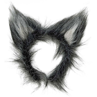 Varg Diadem