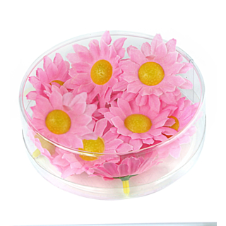 Dekorativa Prästkragar Ljusrosa