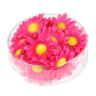 Margetitblommor Rosa