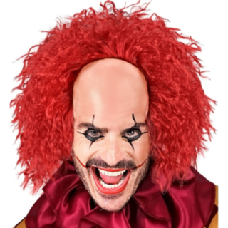 Horror Clown Peruk & Panna