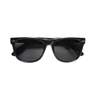 Wayfarer Solglasögon