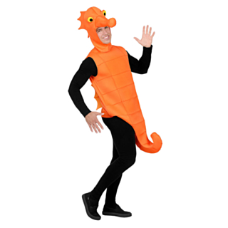 Sjöhäst Maskeraddräkt