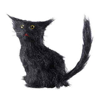 Svart Katt