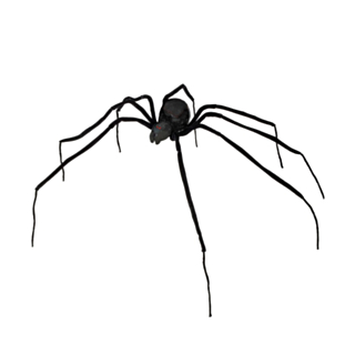Stor Black Widow Spindel Svart