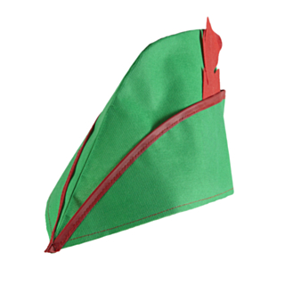 Robin Hood-hatt