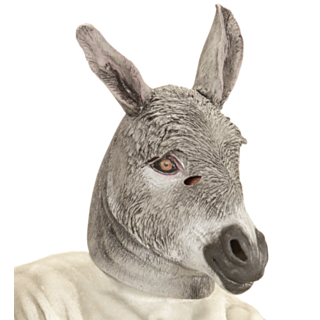Åsnemask