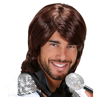ABBA Benny Peruk