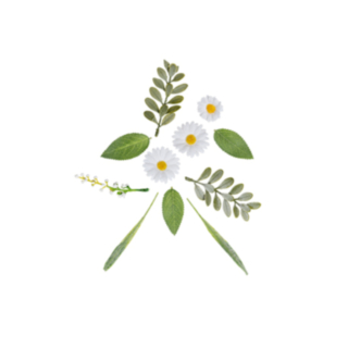 Prästkrage Konstgjorda Blommor Vit/Gul/Grön