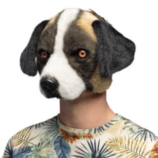 Hund Bernard Mask