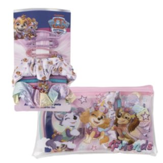 Paw Patrol® Friends Beauty Set