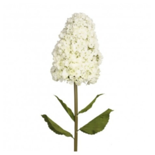 Konstgjord Hortensia På Stjälk