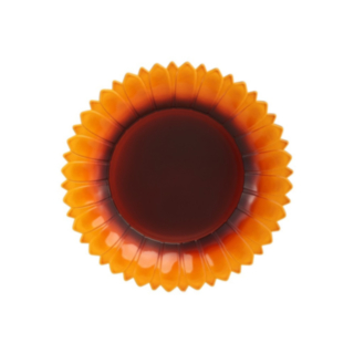 Solros plasttallrik