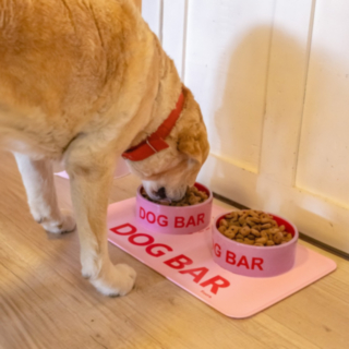 Dog Bar Silikonmatta för matskål Ljusrosa