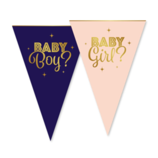 Gender Reveal Girlang Blå/Ljusrosa