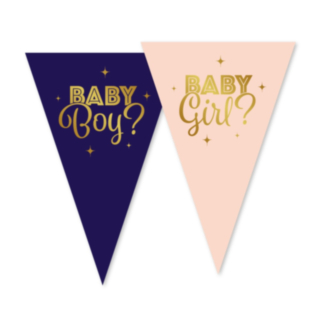 Gender Reveal Girlang Blå/Ljusrosa