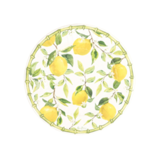 Citronträd Papperstallrikar