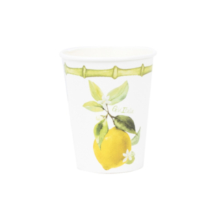 Citron Pappersmuggar