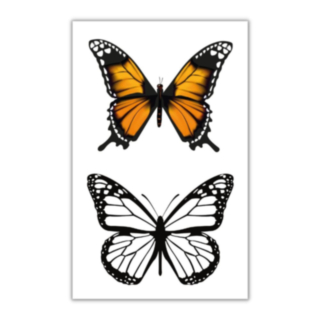 Fjäril Falska Tatueringar Orange