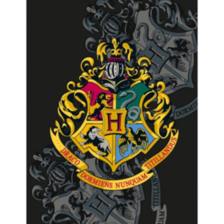 Harry Potter® Hogwarts Fleecefilt Svart